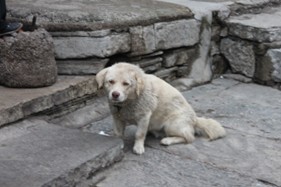 1471945369712216.jpg 4.jpg